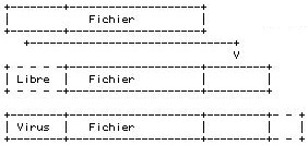 Infection de fichier