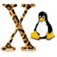 x-logo.jpg