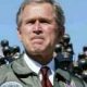 bush.jpg