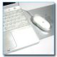 ibook.jpg