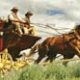 Wells-Fargo.jpg