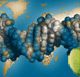 appleDNA.jpg