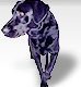 lycos-dog.jpg