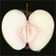 Apple-Records-2.jpg