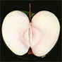 Apple-Records-2.jpg