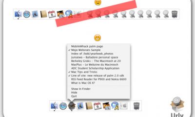 (cliquez pour agrandir)