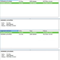 Les 2 modules de Ram DDR