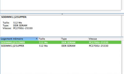 Les 2 modules de Ram DDR