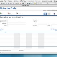 Modèle FMPro