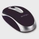 souris-5.jpg