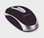 souris-5.jpg