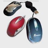 souris-6.jpg
