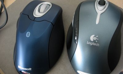 2souris.jpg