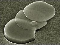 graphene.jpg