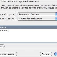 selection2.jpg