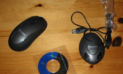 souris-7.jpg