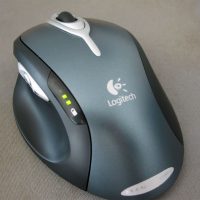 souris_global.jpg