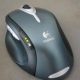 souris_global-s.jpg