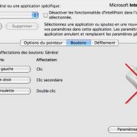 souris_nonreconnu.jpg
