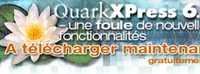 quark-2.jpg
