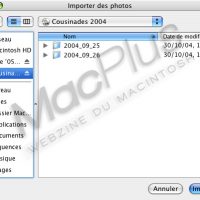 importer1.jpg