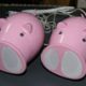 cochon.jpg