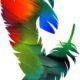photoshop_plumes.jpg