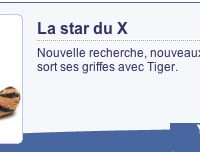 peluchTiger.jpg