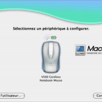 preference-2.jpg