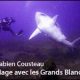 top3_cousteau.jpg