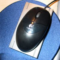 souris-9.jpg