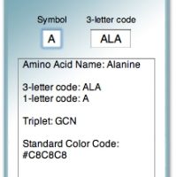 AminoAcid.jpg