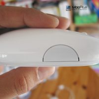 profil-7.jpg