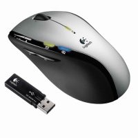 souris-10.jpg