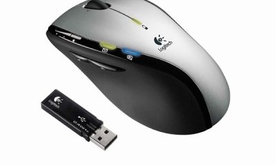 souris-10.jpg