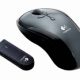 souris-11.jpg