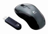 souris-11.jpg