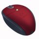 souris-12.jpg