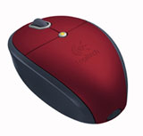 souris-12.jpg