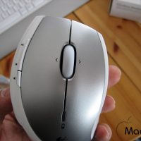 souris-13.jpg