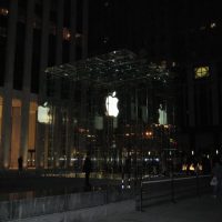 IMG_1285.jpg