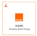 orange-2.jpg