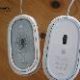 souris2-2-s.jpg