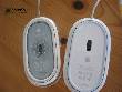 souris2-2-s.jpg
