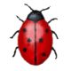Coccinella.jpg