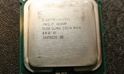 processor_stamp.jpg