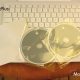 MacBook_coffret2