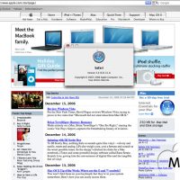 safari-11.jpg