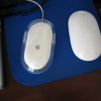 IMG_0509.jpg