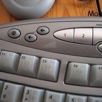 IMG_0568.jpg